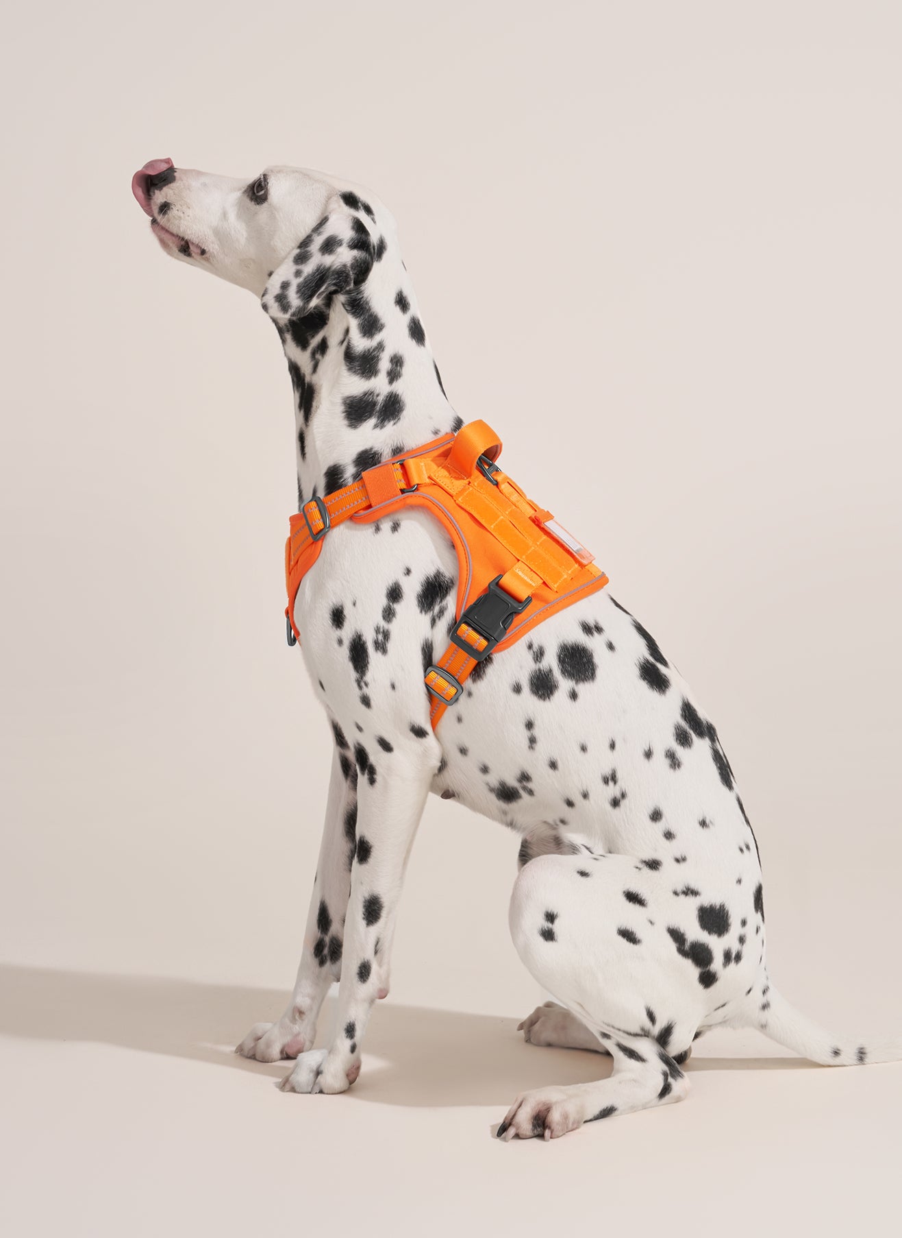 ColorPop Escape Proof Tactical Dog Harness