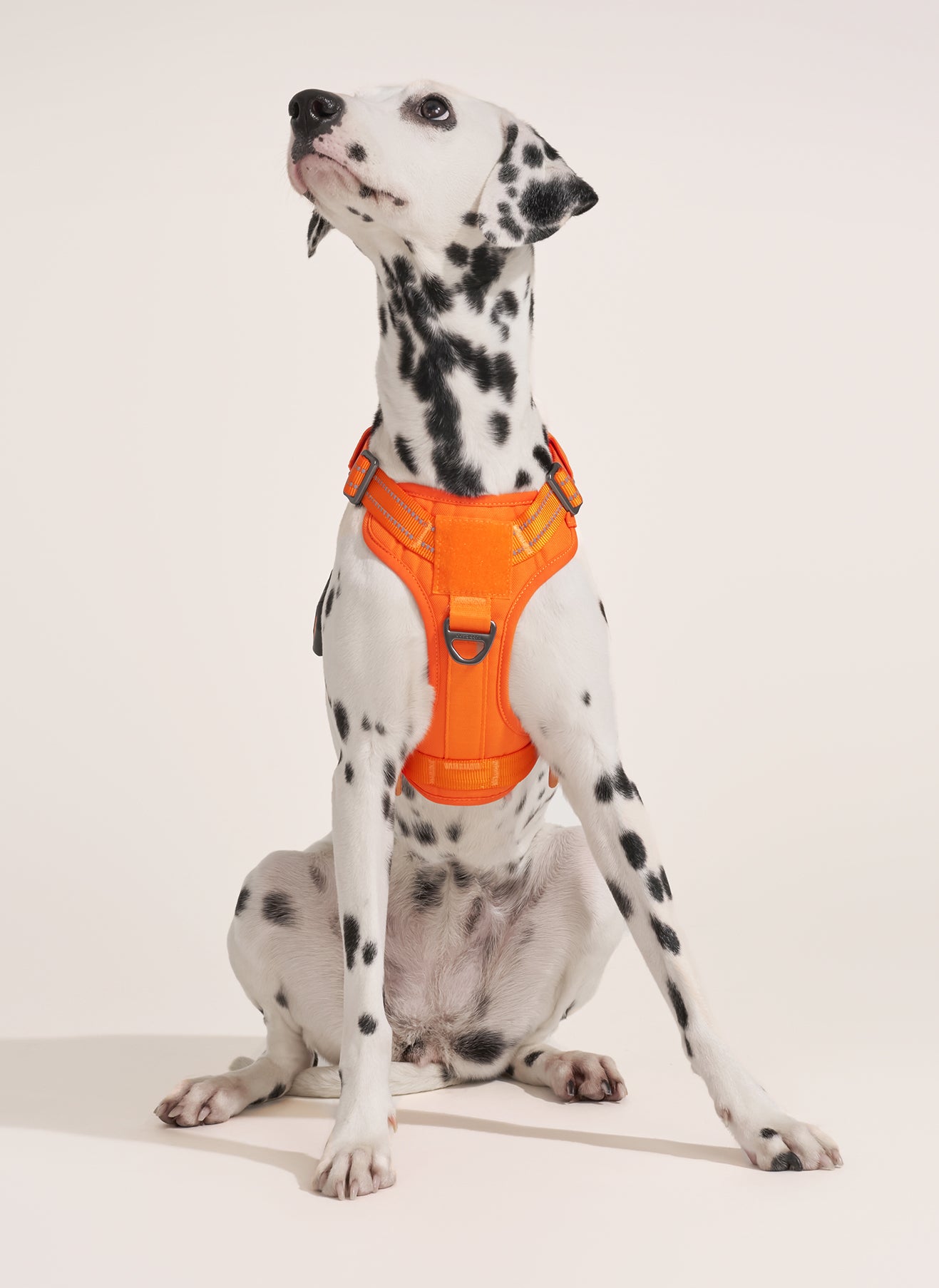 ColorPop Escape Proof Tactical Dog Harness