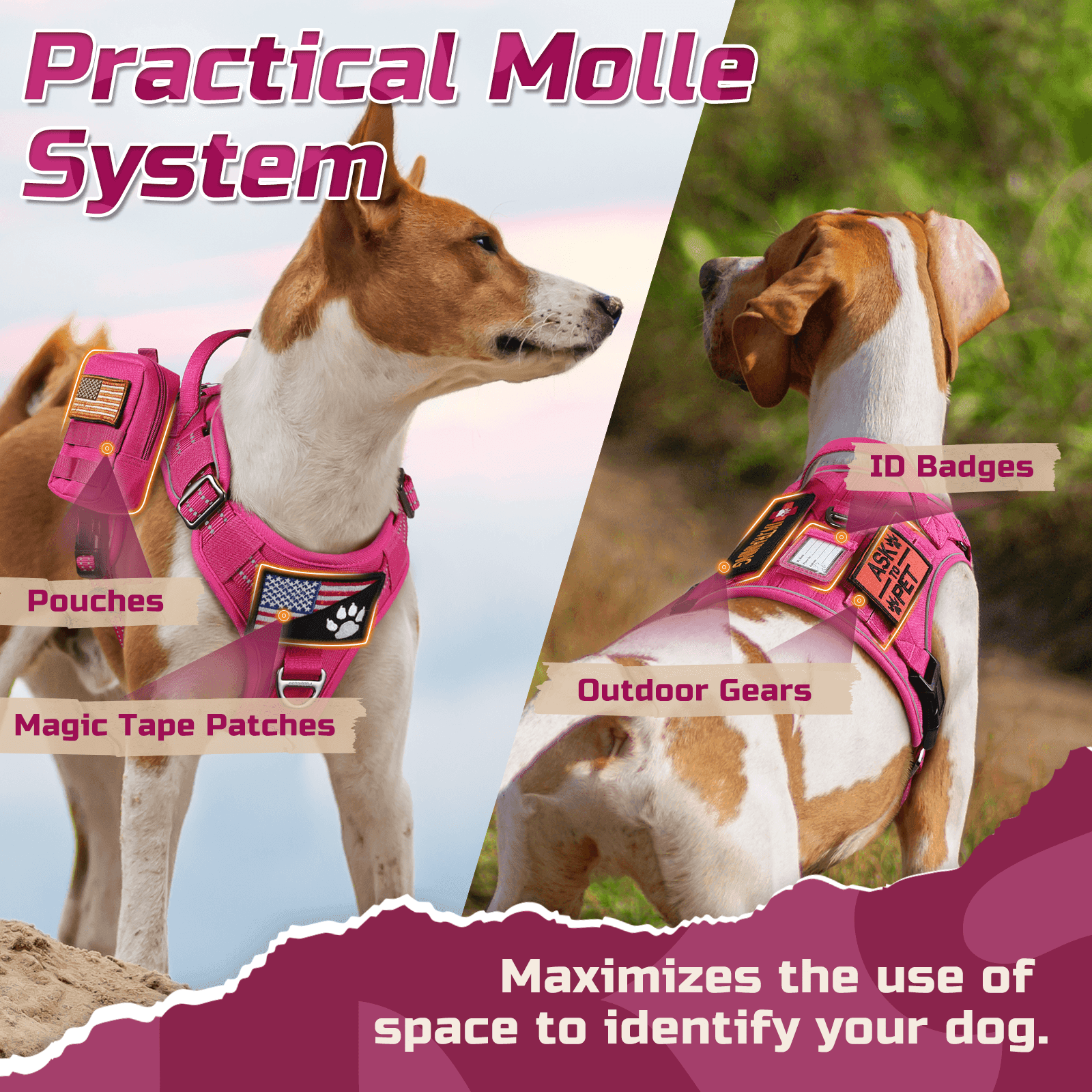ColorPop Escape Proof Tactical Dog Harness