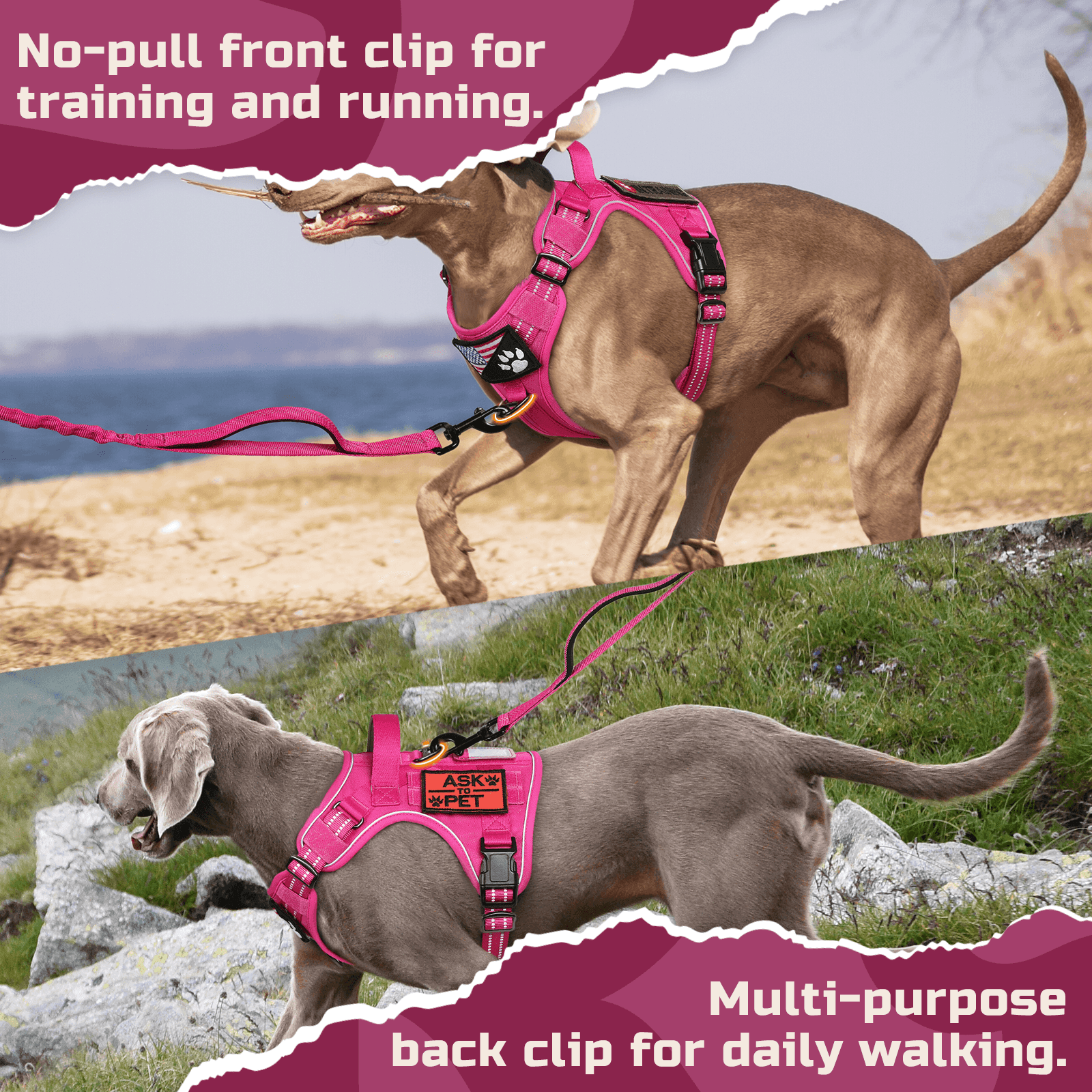 ColorPop Escape Proof Tactical Dog Harness