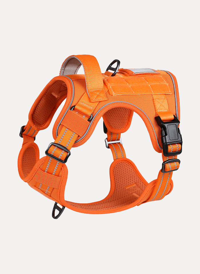 ColorPop Escape Proof Tactical Dog Harness