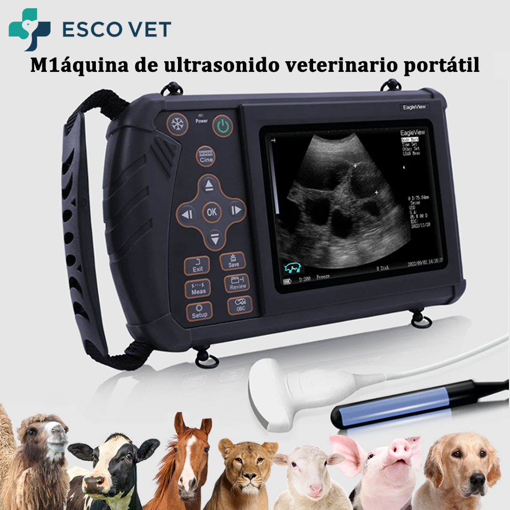 Esco Vet máquina de ultrasonido veterinario portátil ,Escaneo de embarazo confiable, edad gestacional automática y cálculo estimado de la fecha de parto con facilidad.