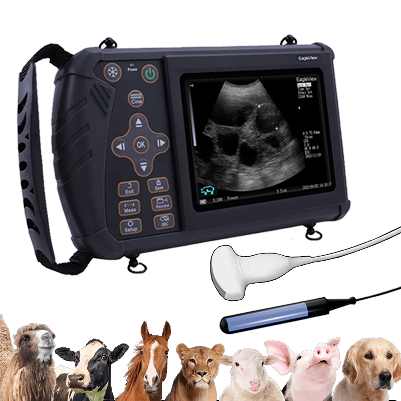 Esco Vet máquina de ultrasonido veterinario portátil (diagnóstico de gestación y salud de órganos)