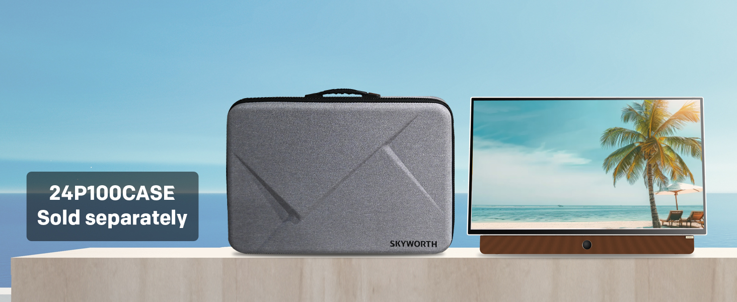 portable tv