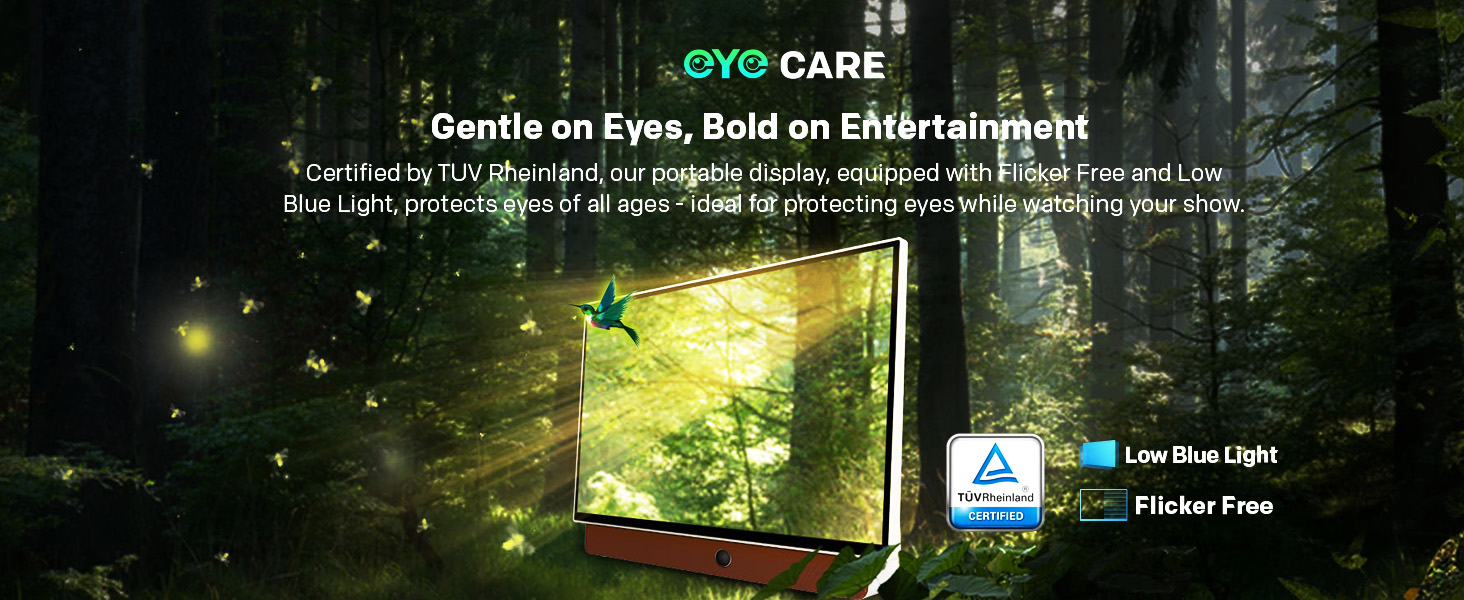 portable tv