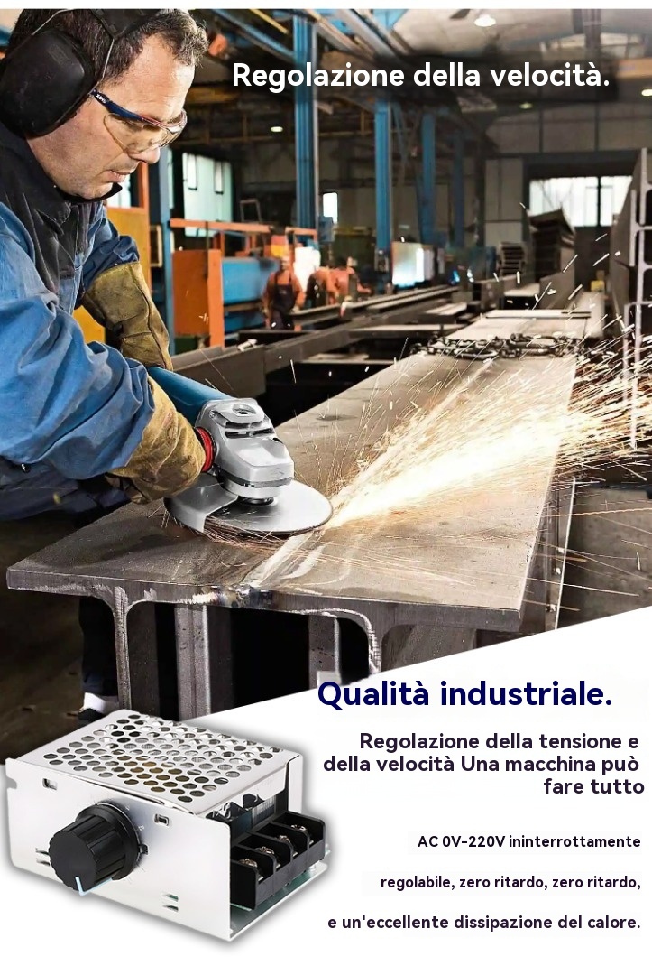 【2/4/6 PZ】Regolatore di tensione elettronico ad alta potenza regolabile SCR da 4000 W / Regolazione della velocità / Regolazione della temperatura - con custodia assicurativa