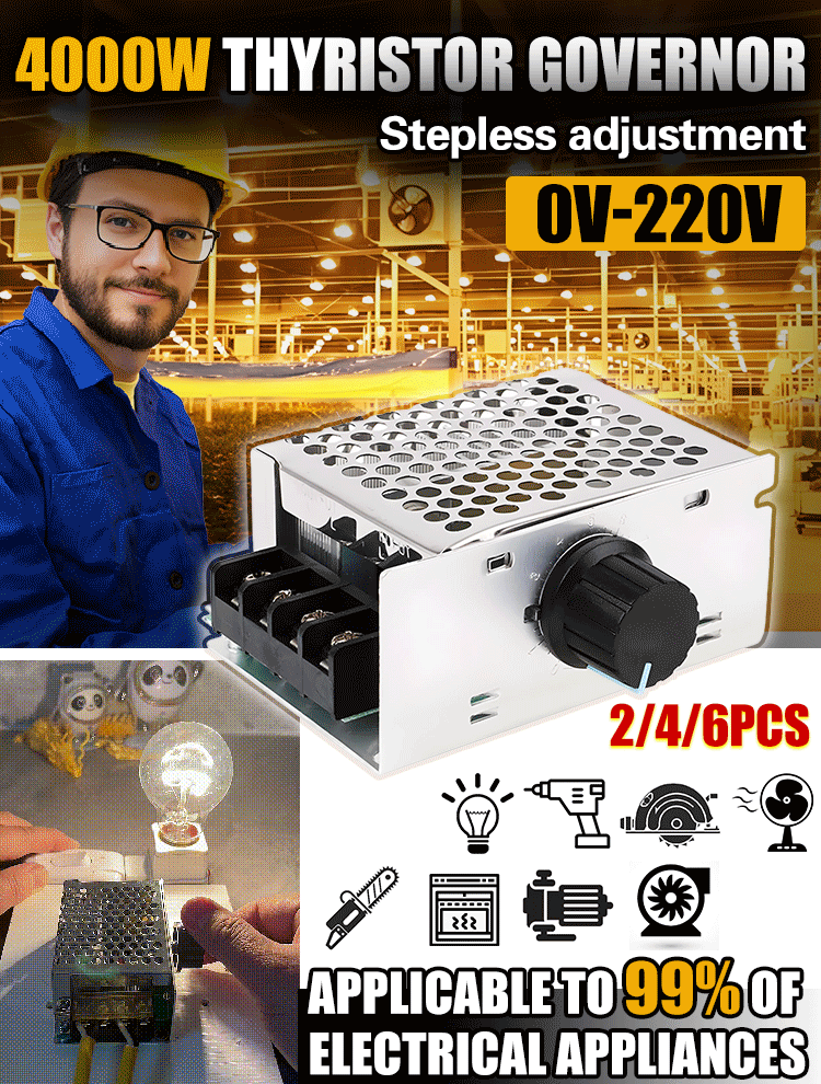 【2/4/6 PZ】Regolatore di tensione elettronico ad alta potenza regolabile SCR da 4000 W / Regolazione della velocità / Regolazione della temperatura - con custodia assicurativa