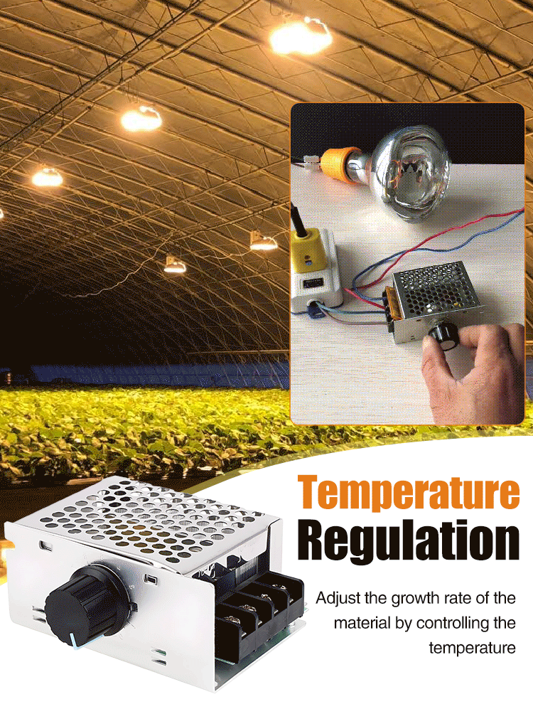 【2/4/6 PZ】Regolatore di tensione elettronico ad alta potenza regolabile SCR da 4000 W / Regolazione della velocità / Regolazione della temperatura - con custodia assicurativa