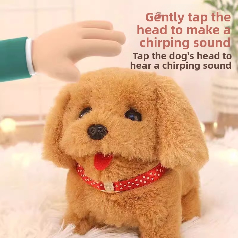 🐶💩✨ A dog that doesn't need to poop or shed hair!!!