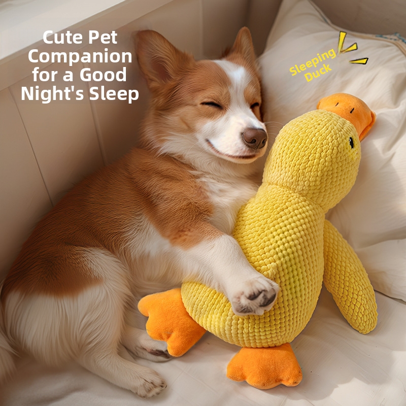 🐶 Dog toy with sound - Little Yellow Duck