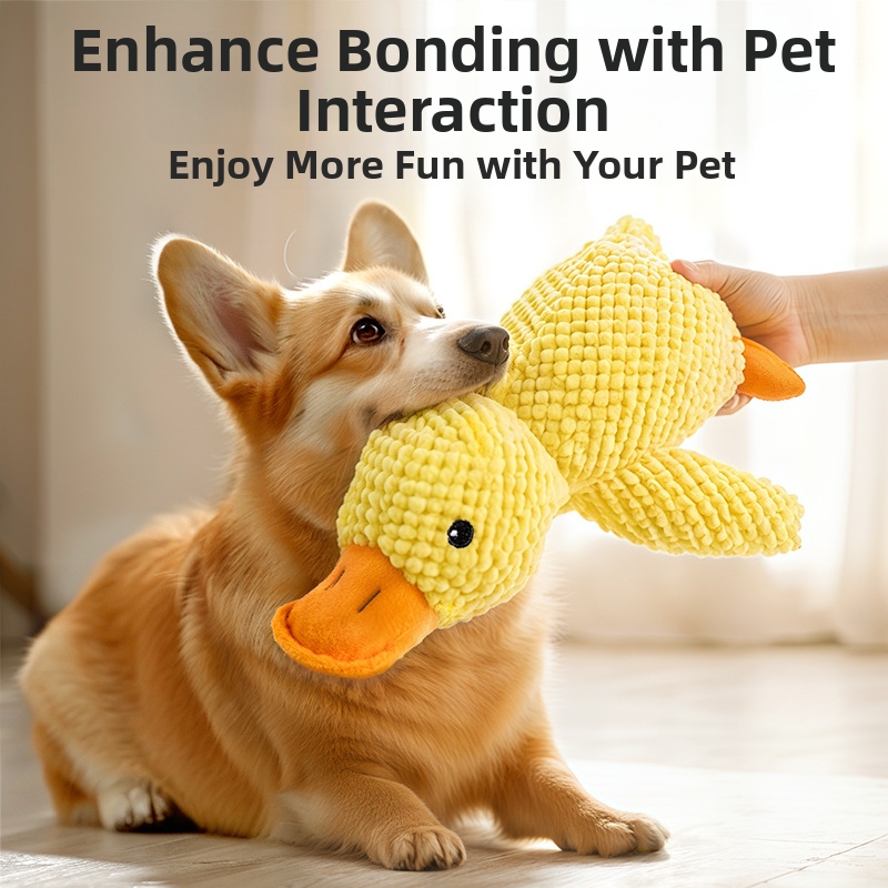 🐶 Dog toy with sound - Little Yellow Duck