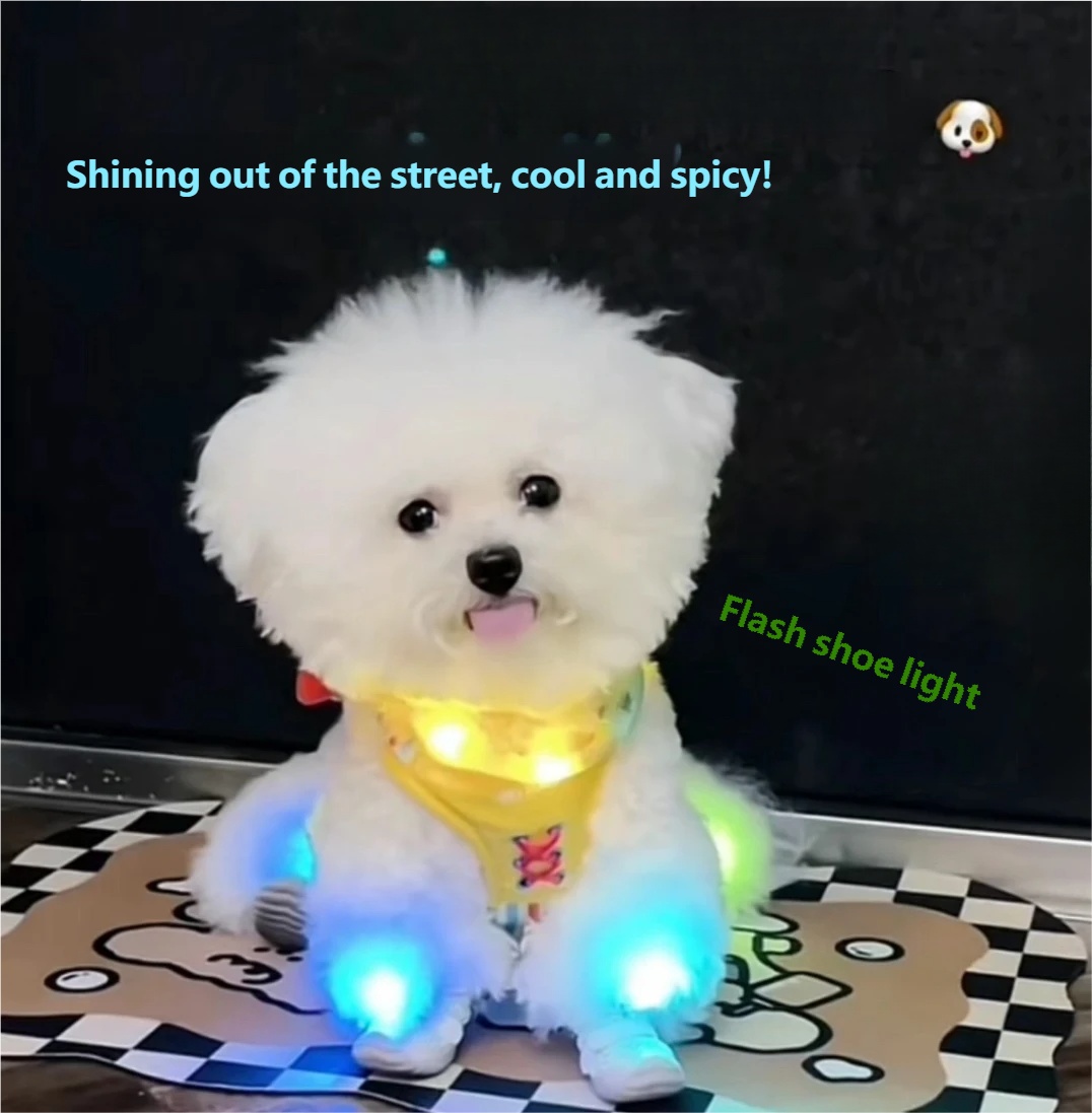 🌟🌟Cool Pet Flashlight for Nighttime Dog Walks and Anti-Loss Shoe Lights