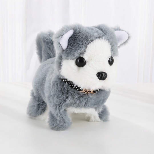 🐶💩✨ A dog that doesn't need to poop or shed hair!!!