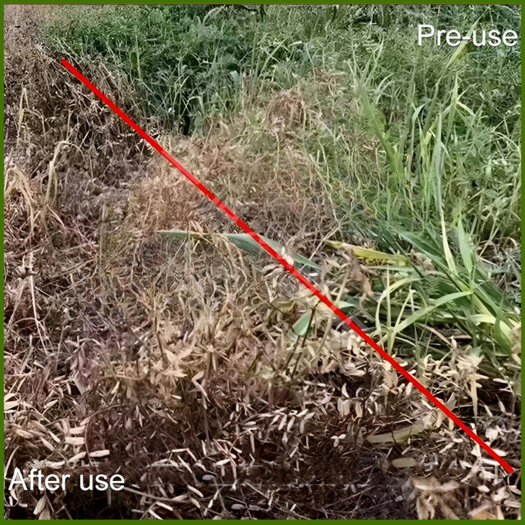 The weeding rate is as high as 99.99%. One weeding can prevent weeds from growing for five years without damaging the soil.