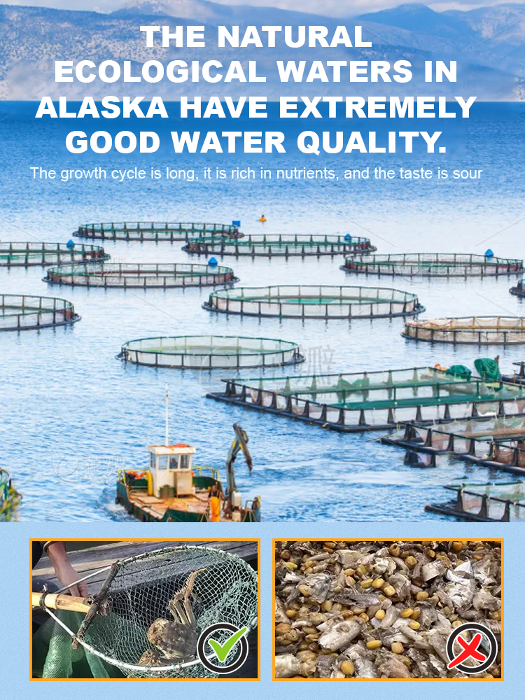 Introducing Alaskan snow crab - you can enjoy it for the price of a beer! Ships with cold chain delivery.