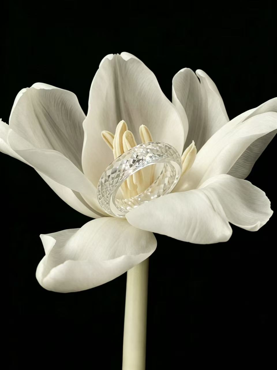 360-Degree Faceted Moissanite Ring -  Moon White