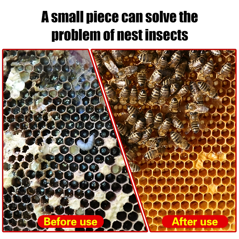 6809bb66656e8.jpg
