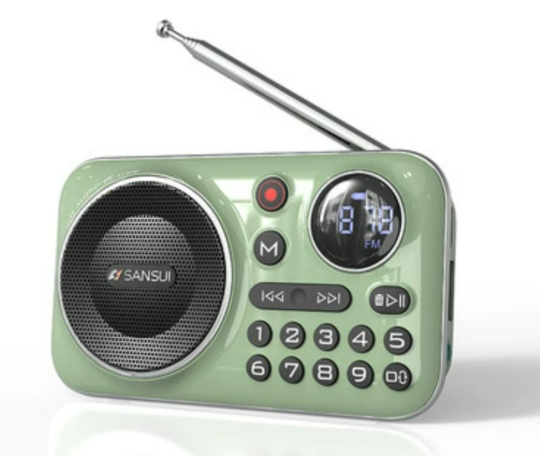 🎁【Oferta ograniczona czasowo】Przenośny odtwarzacz muzyki z radiem Blu
