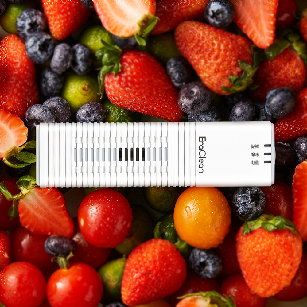 EraClean CW-B04 Bacteria Freeze Ozone Fridge Cleanser: 99.99% Elimination and Unmatched Freshness Refrigerator Deodorizer