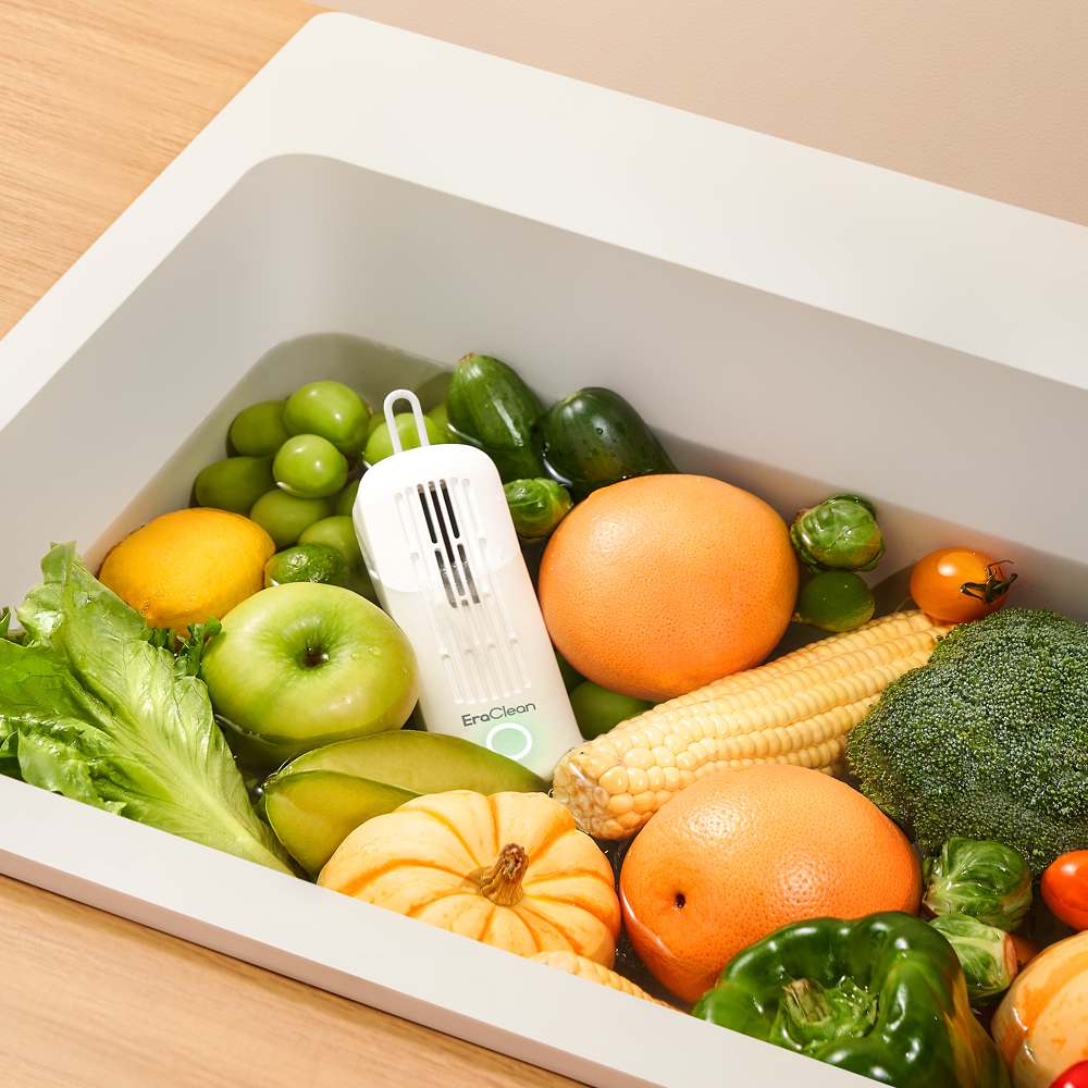 EraClean GFC11 Efficient sterilization Vegetable Cleaner:Customized Cleaning Times For Different Foods， More Thorough Cleaning