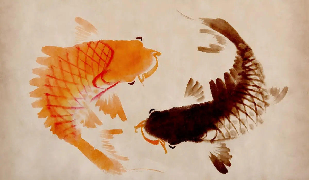 Yin Yang Koi Symbolism