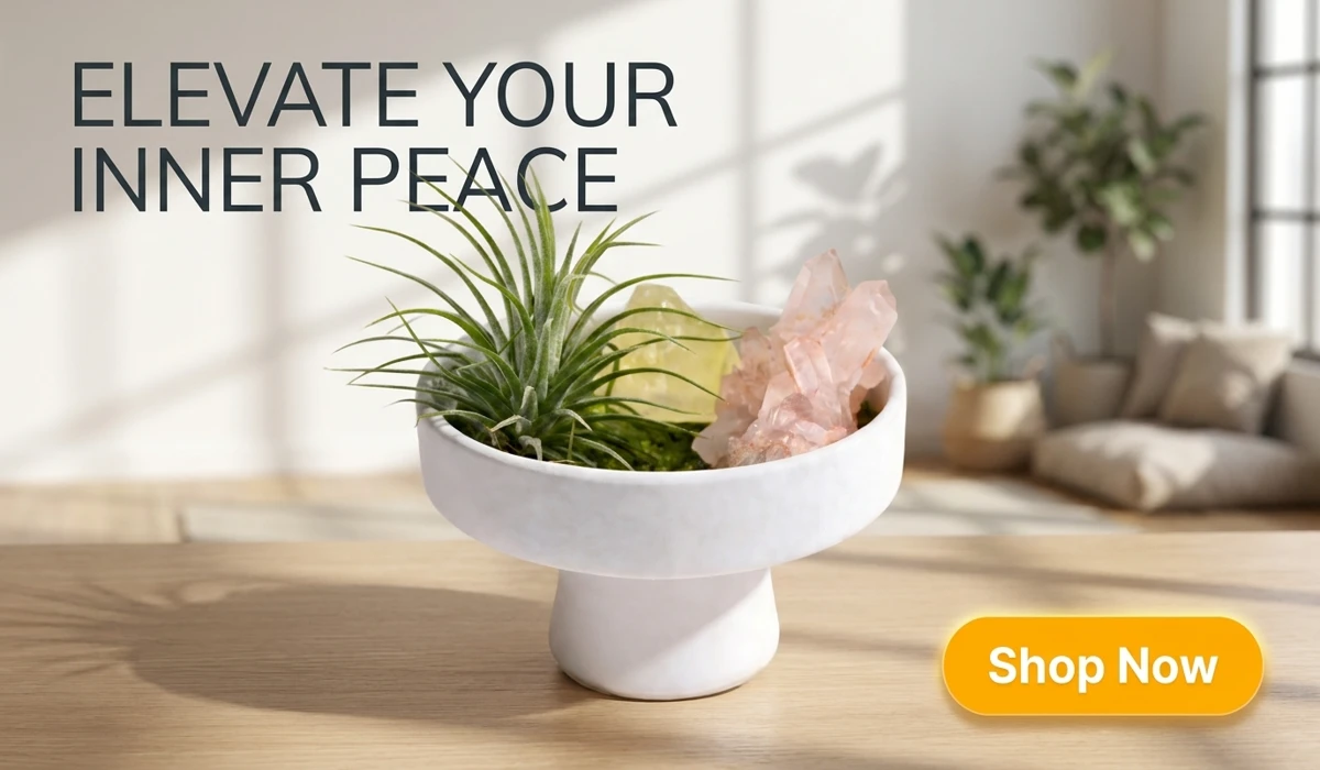 DIY Crystal Meditation Zen Garden with Raw Quartz and Air Plant in a white ceramic bowl for minimalist home decor and mindfulness.