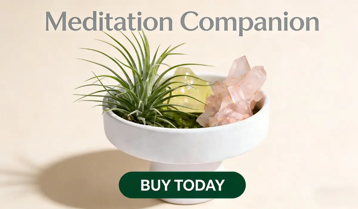 DIY Crystal Meditation Zen Garden with Raw Quartz & Air Plant, featuring a white ceramic bowl holding an air plant, pink rose quartz clusters, and a yellow citrine point, with text "Meditation Companion" and a green "BUY TODAY" button on a soft beige background.