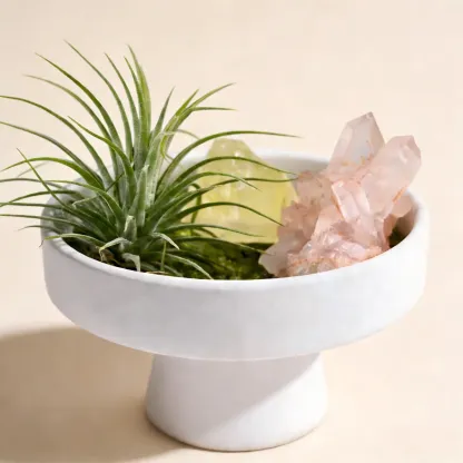 DIY Crystal Meditation Zen Garden with Raw Quartz & Air Plant