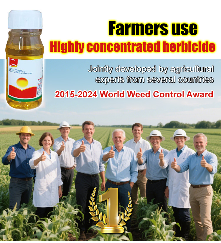 【Herbicide Double Certified By The Federal Ministry Of Agriculture And BABA】🌿Complete Eradication Of Weeds From The Roots, No Weed Growth For 3 Years!
