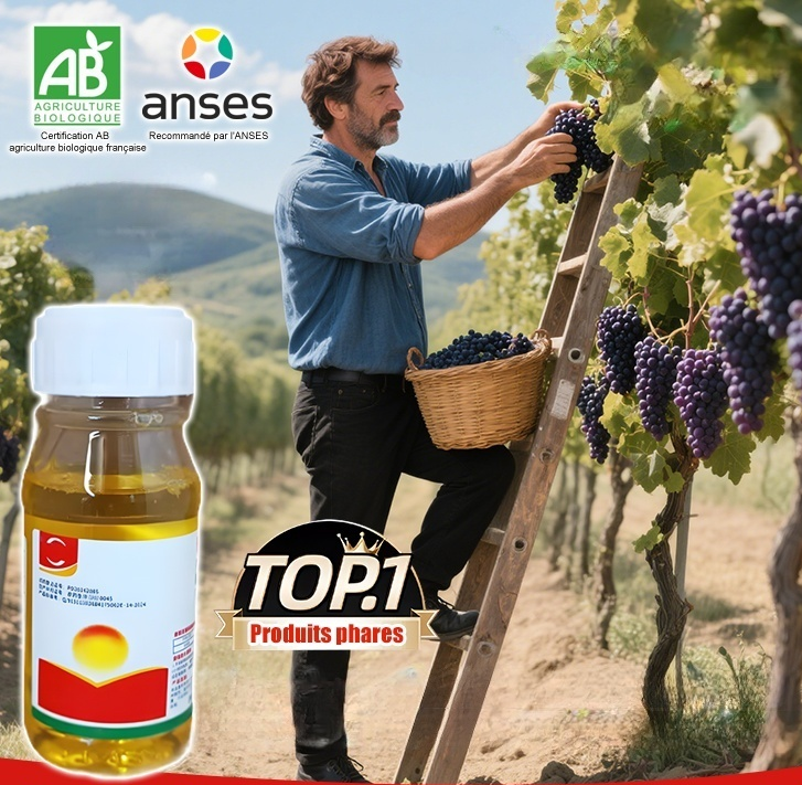【Herbicide Double Certified By The Federal Ministry Of Agriculture And BABA】🌿Complete Eradication Of Weeds From The Roots, No Weed Growth For 3 Years!