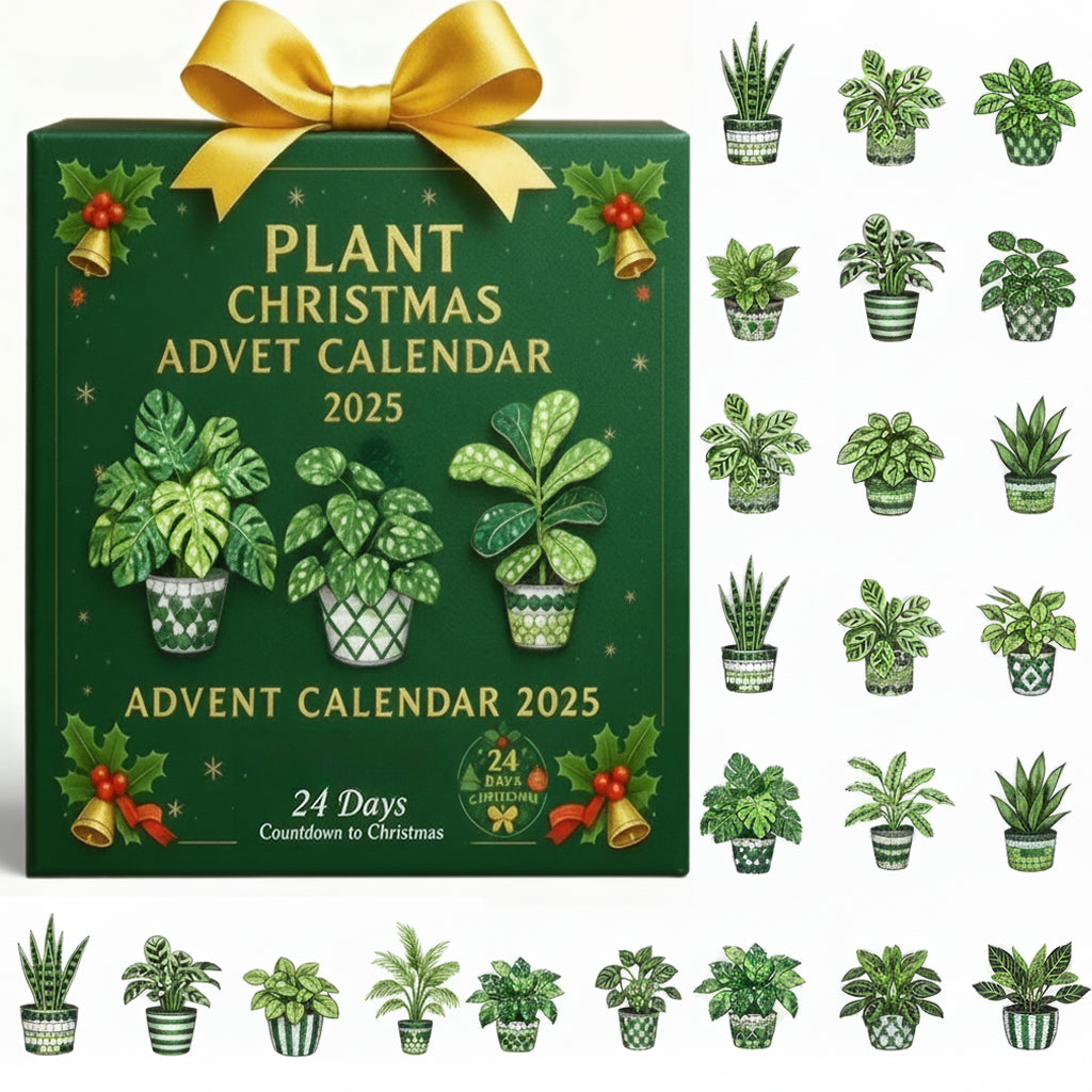🌲Christmas Gift--2025 Plant Christmas Advent Calendar
