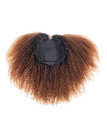 Glimmering Nightfall All In One Half Wig