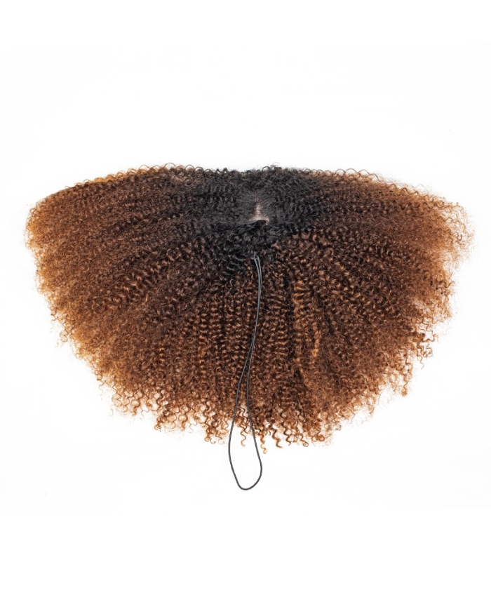 Ombre All In One Half Wig