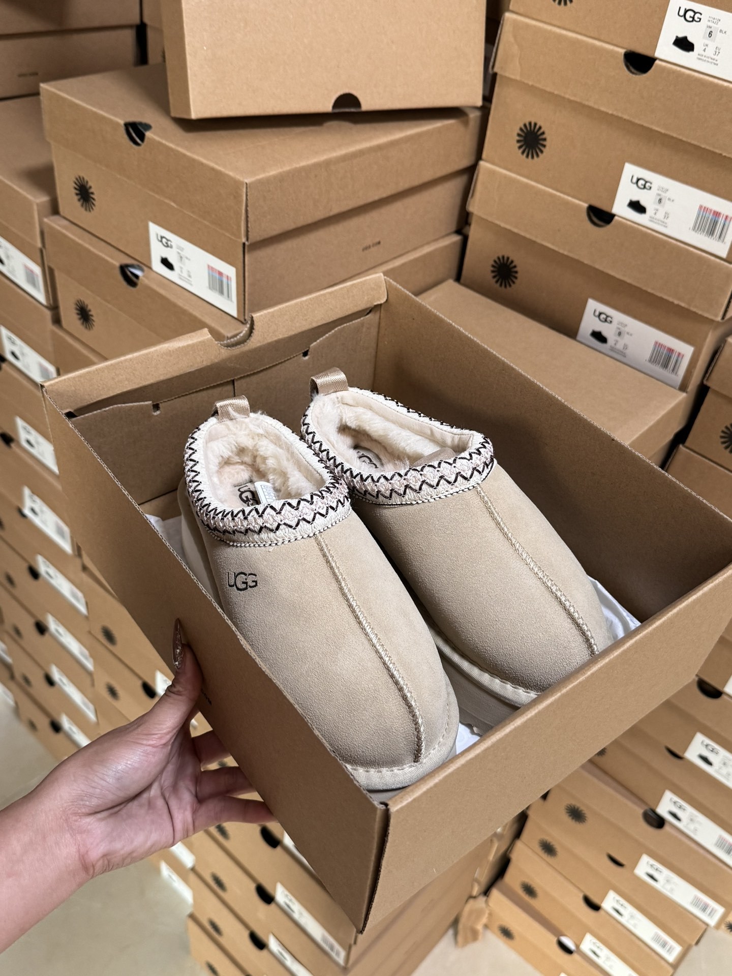 Tasman Slipper