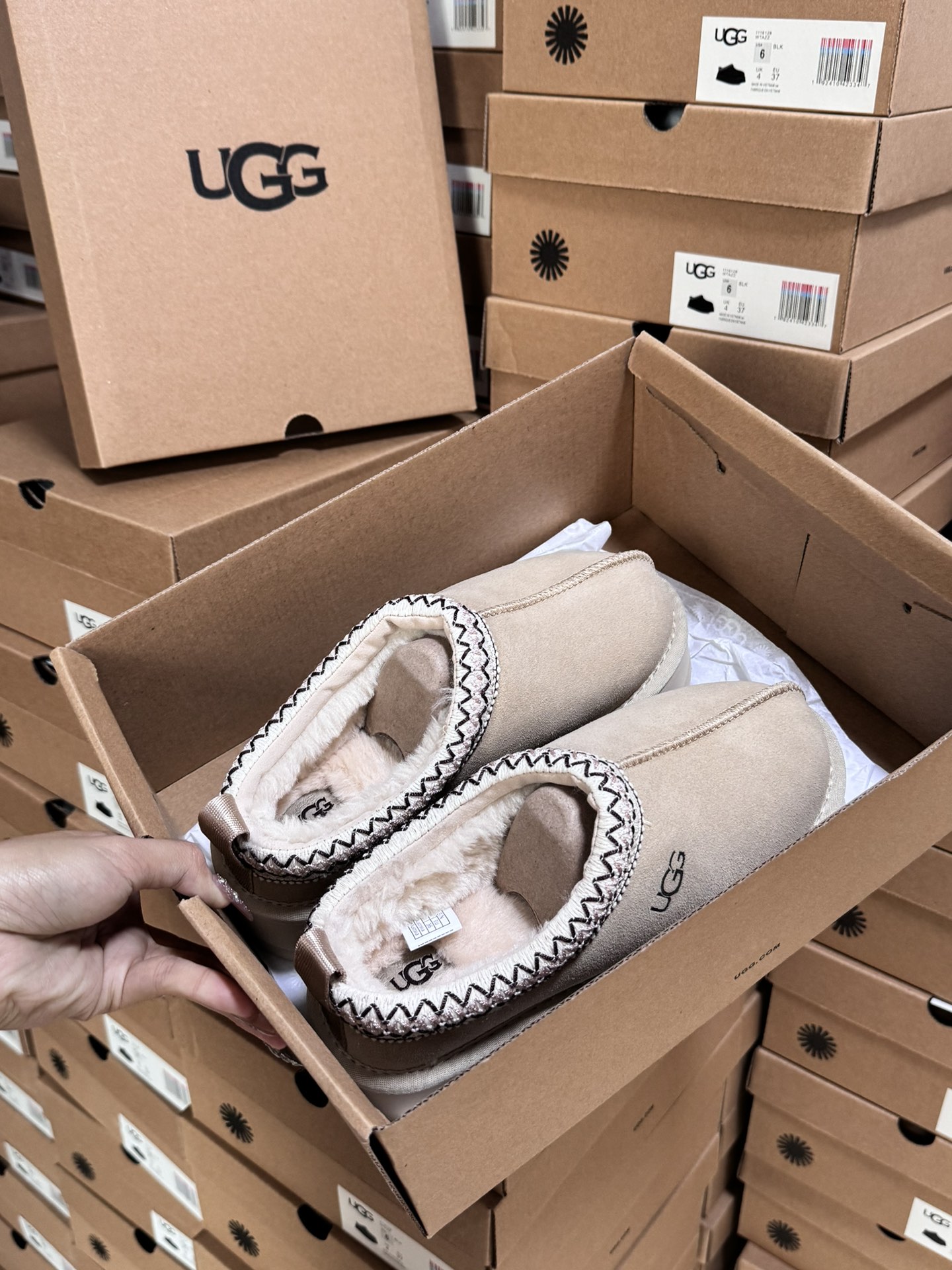 Tasman Slipper