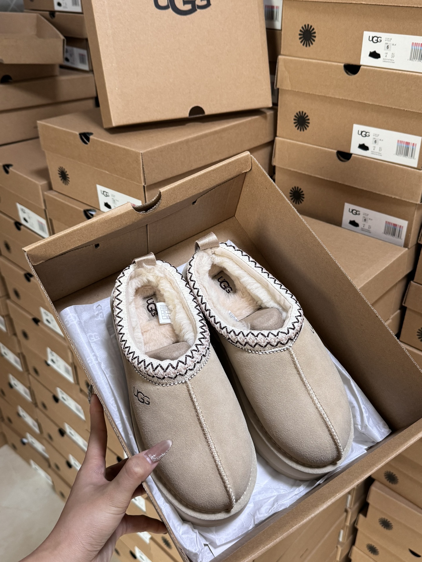 Tasman Slipper