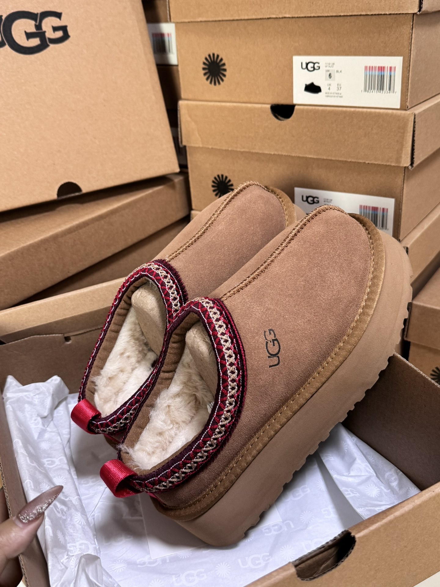 Tasman Slipper Maroon