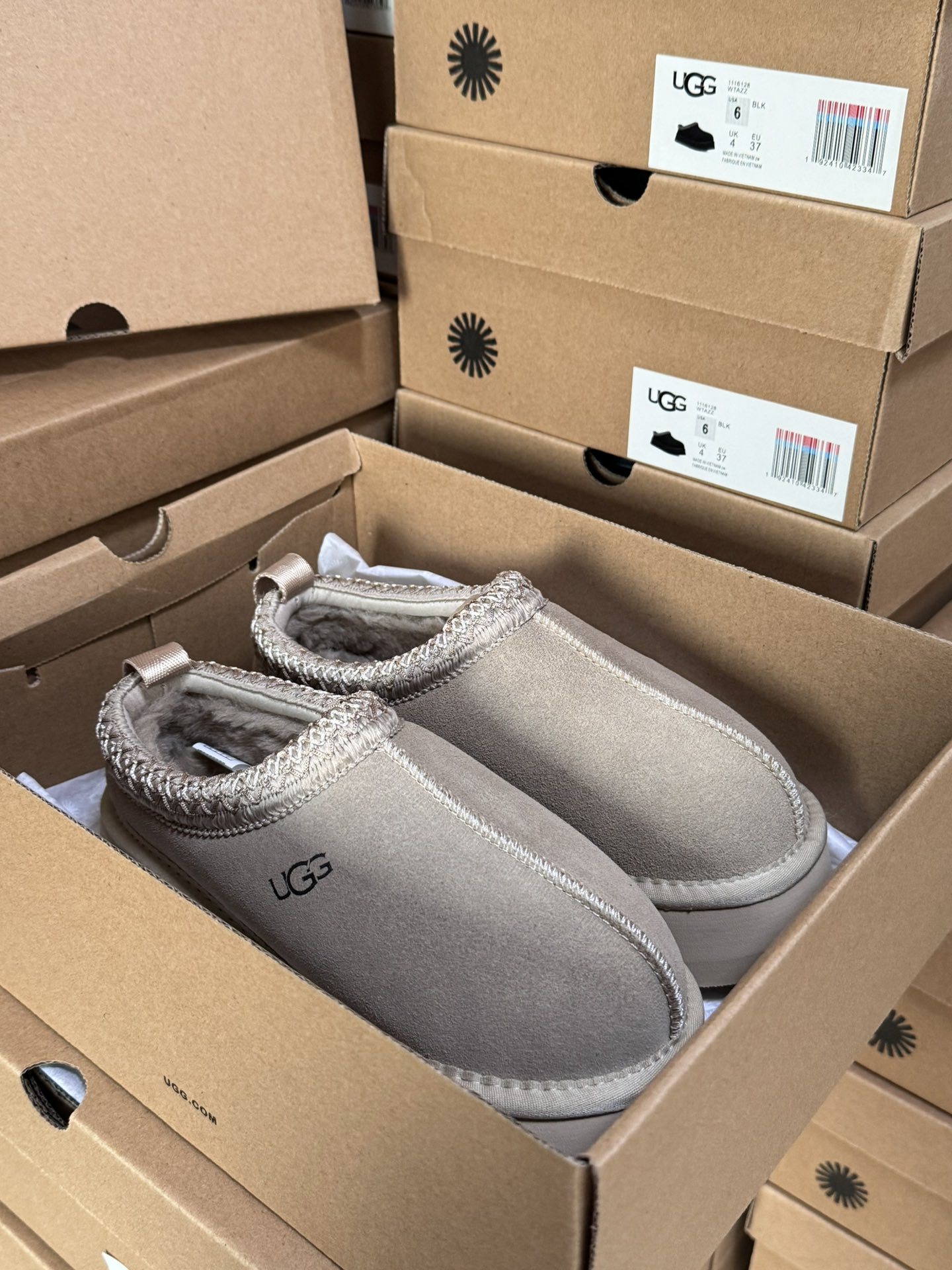 Tasman Slipper