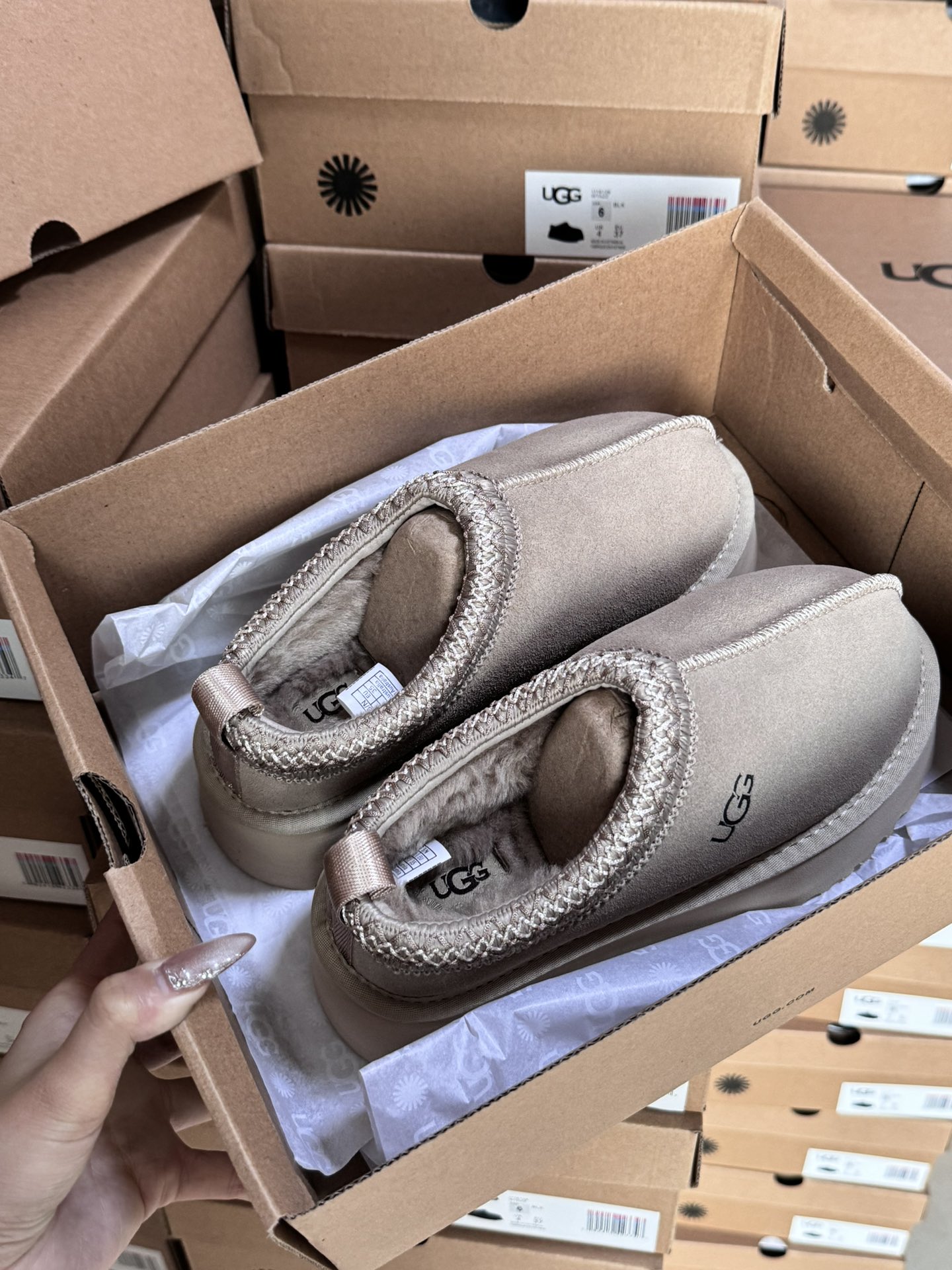 Tasman Slipper