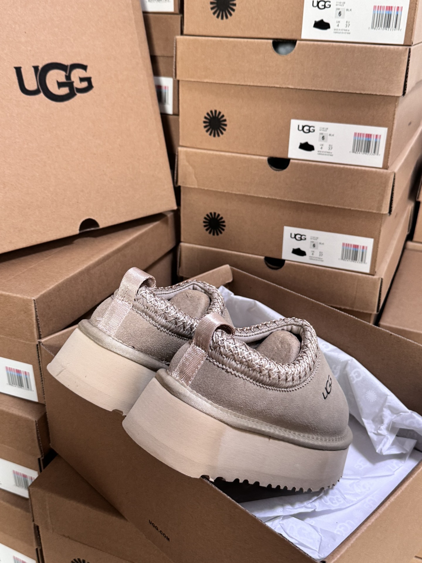 Tasman Slipper