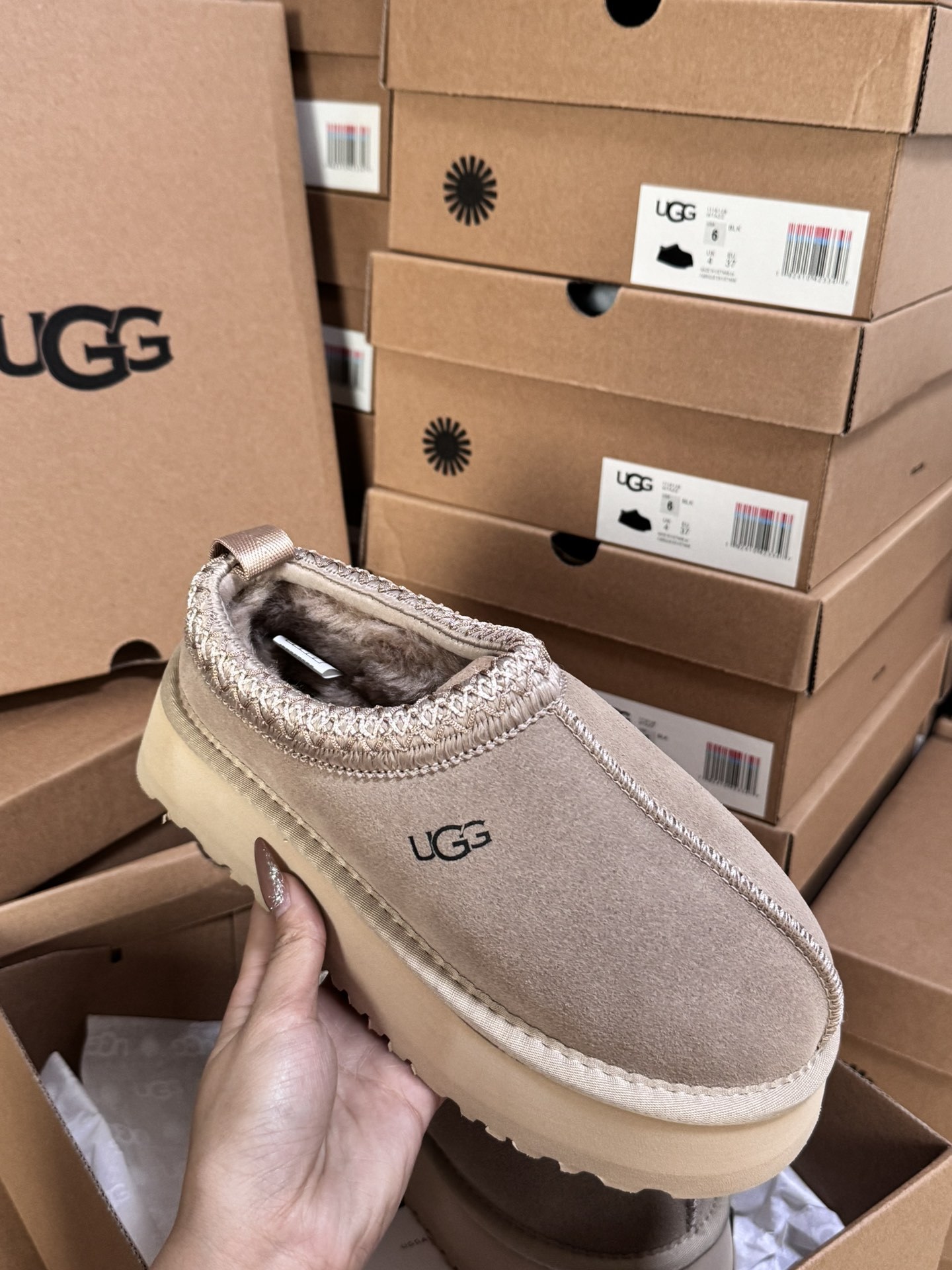 Tasman Slipper