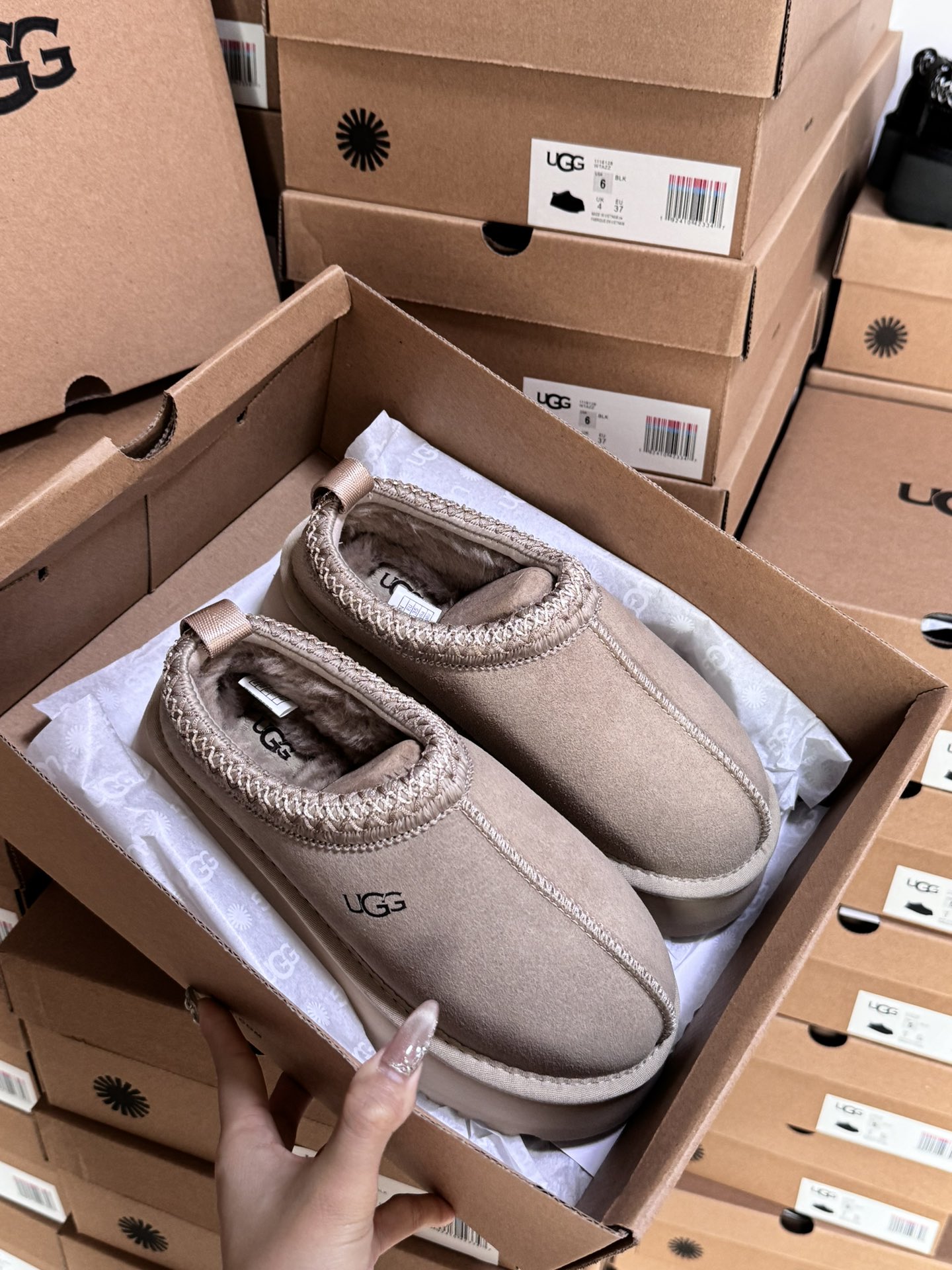 Tasman Slipper