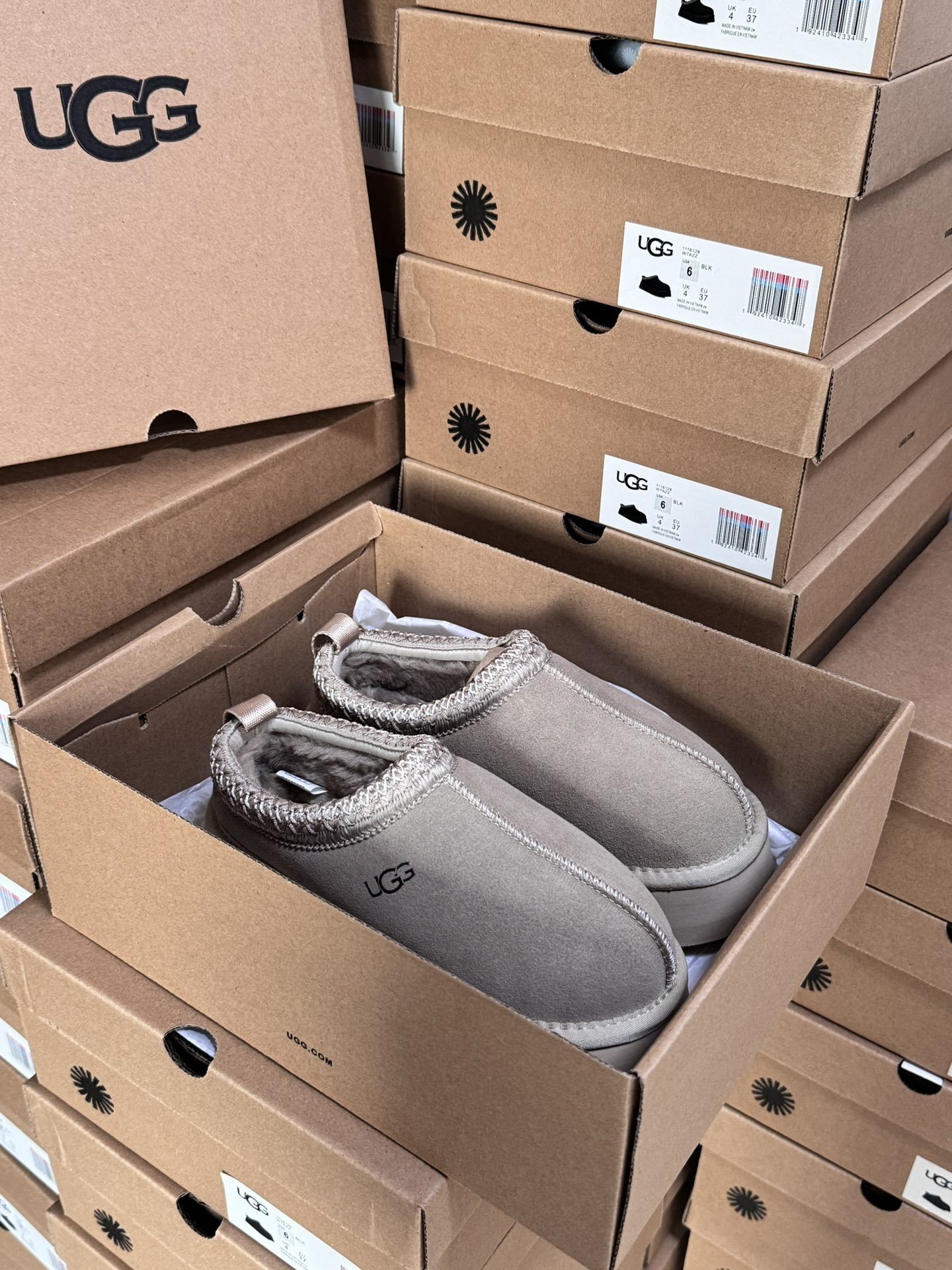 Tasman Slipper
