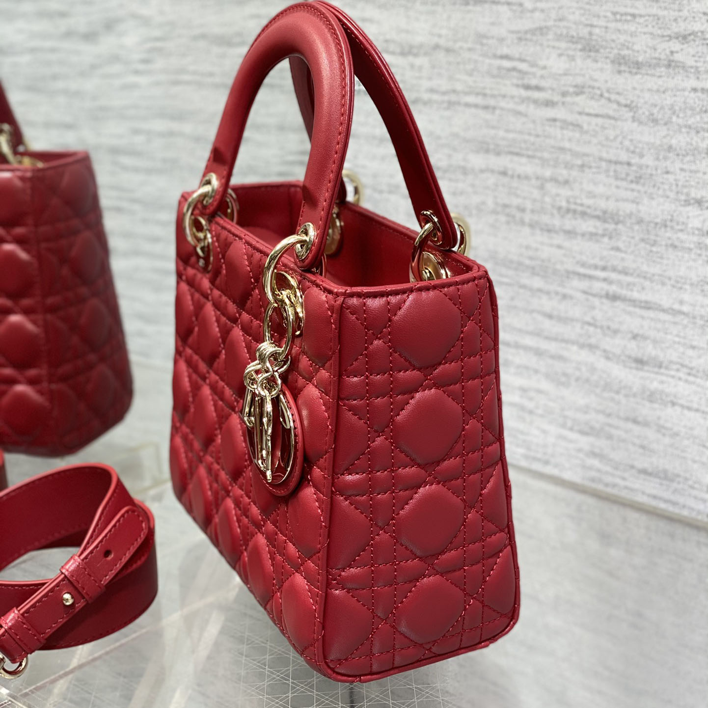 LADY  BAG
