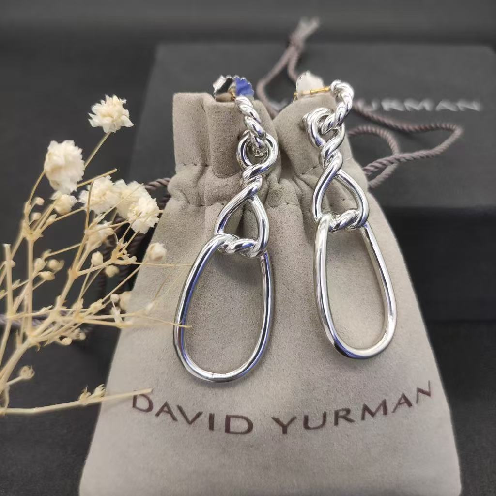 Sculpted Chain Drop Earrings