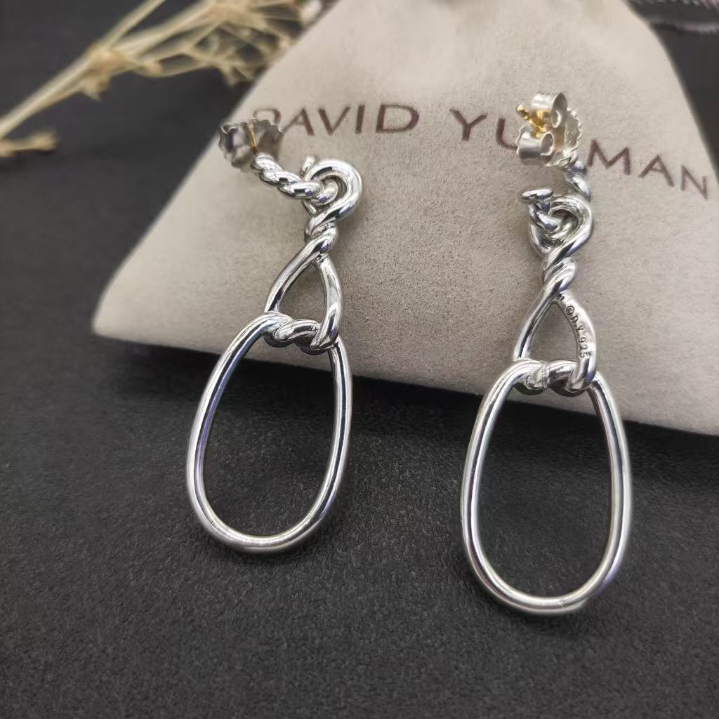 Sculpted Chain Drop Earrings