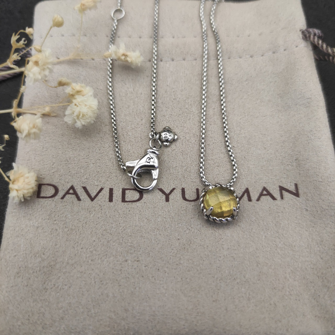 Petite Chatelaine® Necklace Sterling Silver with Citrine, 10mm