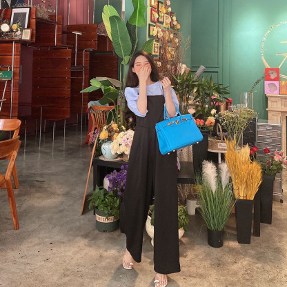 Herthtmes Togo Birkin 25/30/35 Blue Bag