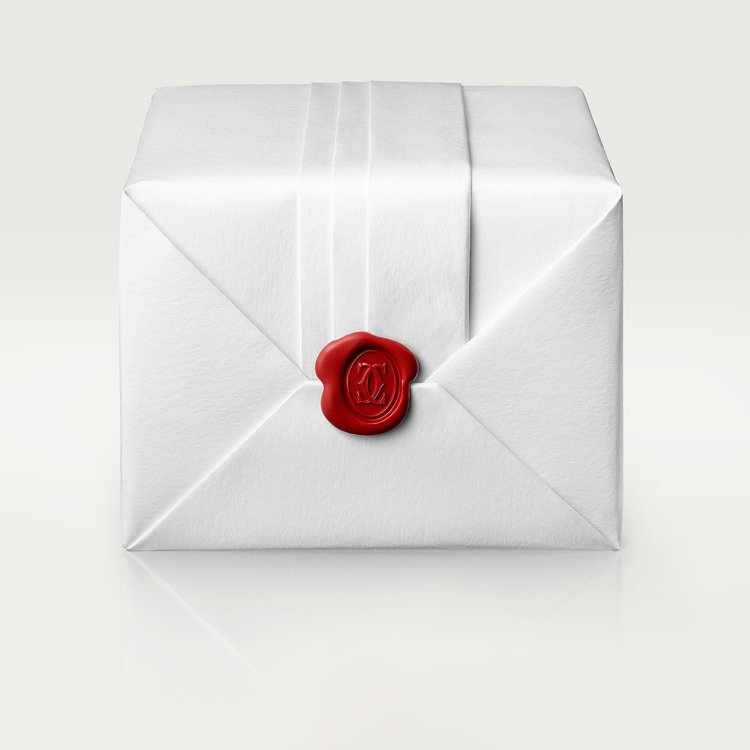 SANTOS DE CARTIER WATCH