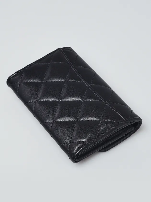 A17 purse